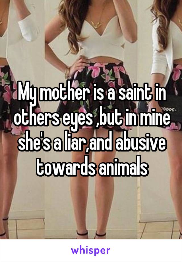 My mother is a saint in others eyes ,but in mine she's a liar,and abusive towards animals