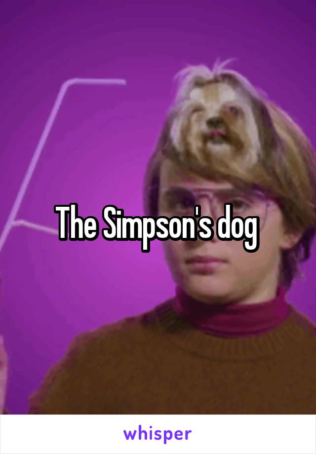 The Simpson's dog 