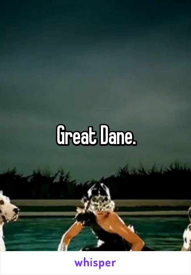 Great Dane.