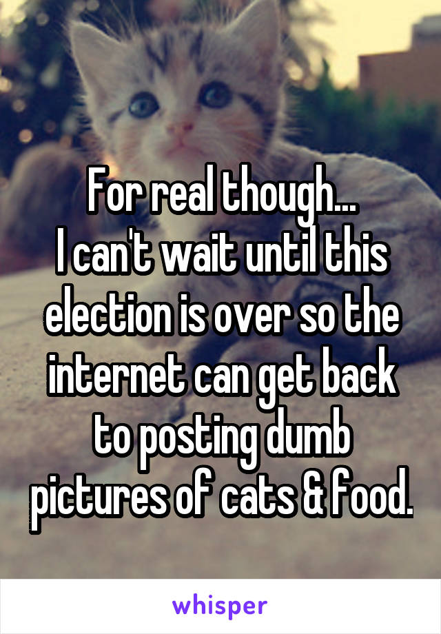 

For real though...
I can't wait until this election is over so the internet can get back to posting dumb pictures of cats & food. 