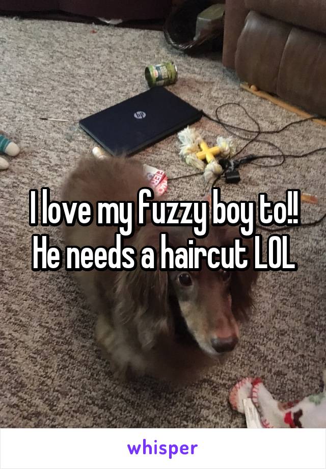I love my fuzzy boy to!! He needs a haircut LOL