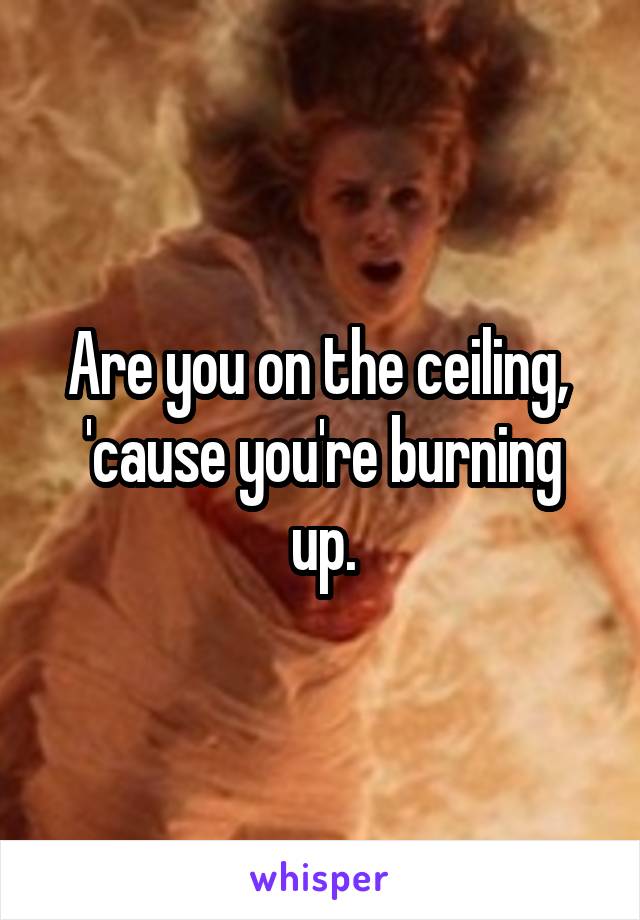 Are you on the ceiling, 
'cause you're burning up.