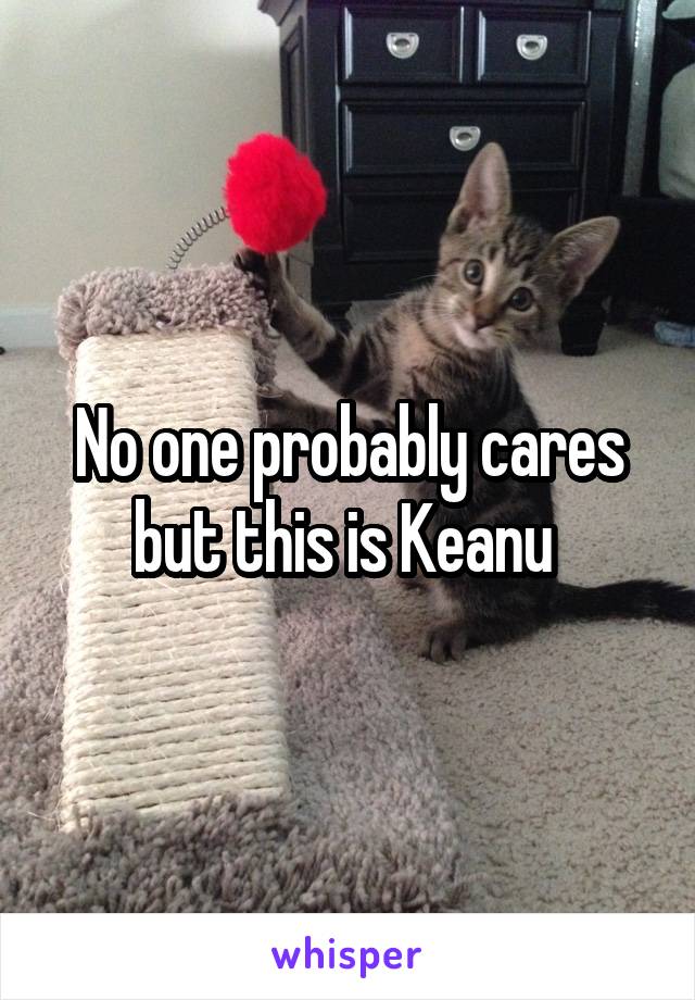 No one probably cares but this is Keanu 