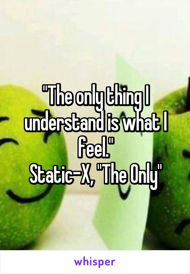 "The only thing I understand is what I feel."
Static-X, "The Only"