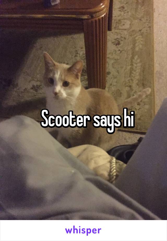   Scooter says hi