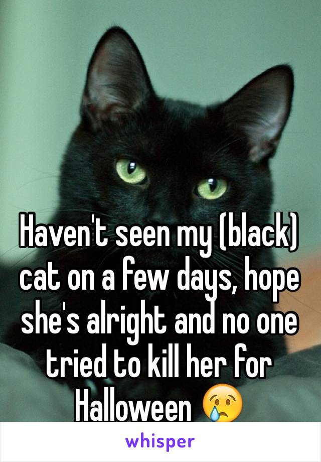 Haven't seen my (black) cat on a few days, hope she's alright and no one tried to kill her for Halloween 😢