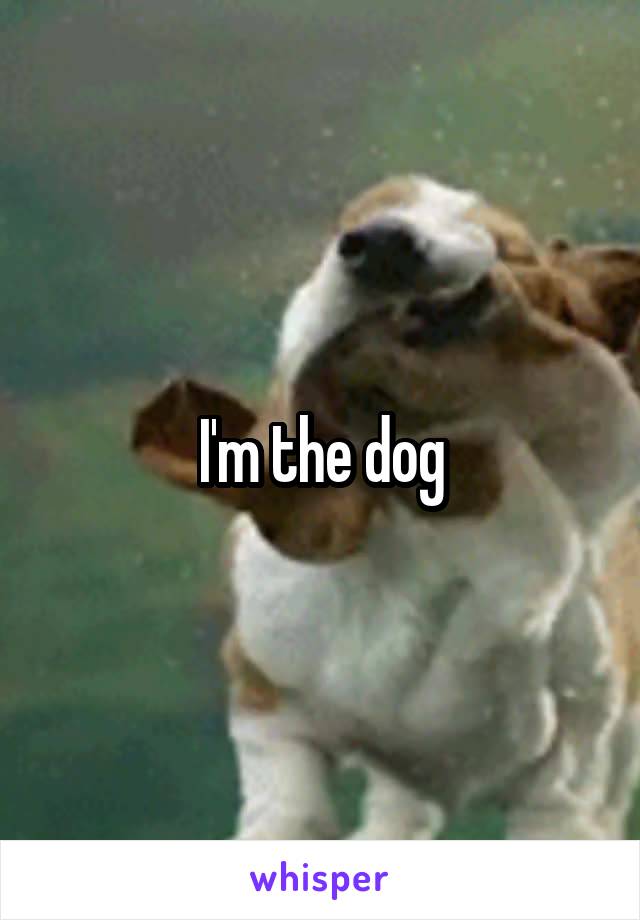 I'm the dog
