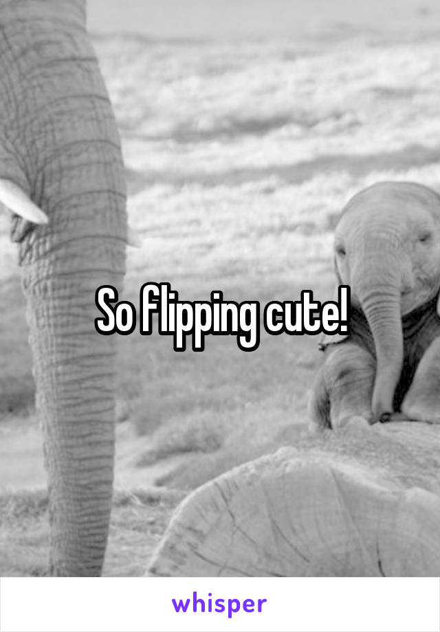 So flipping cute!