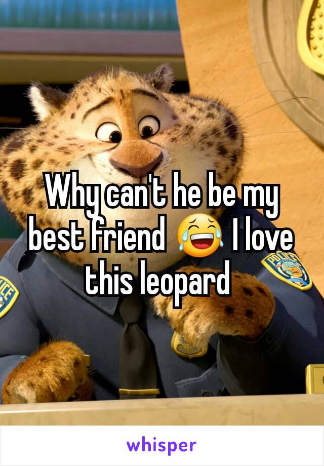 Why can't he be my best friend 😂 I love this leopard 
