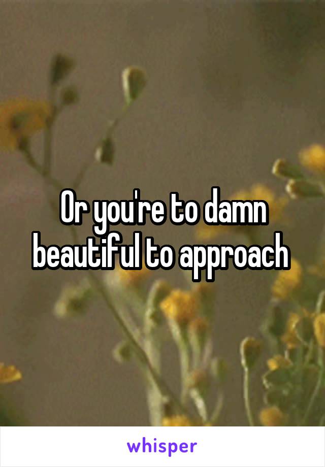 Or you're to damn beautiful to approach 