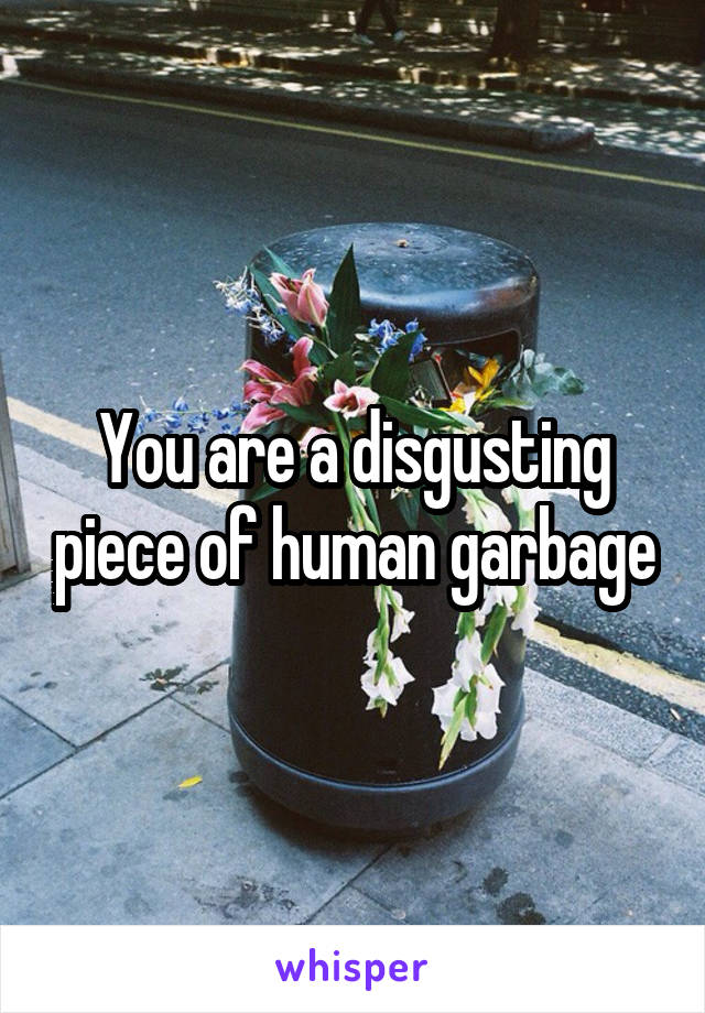 You are a disgusting piece of human garbage