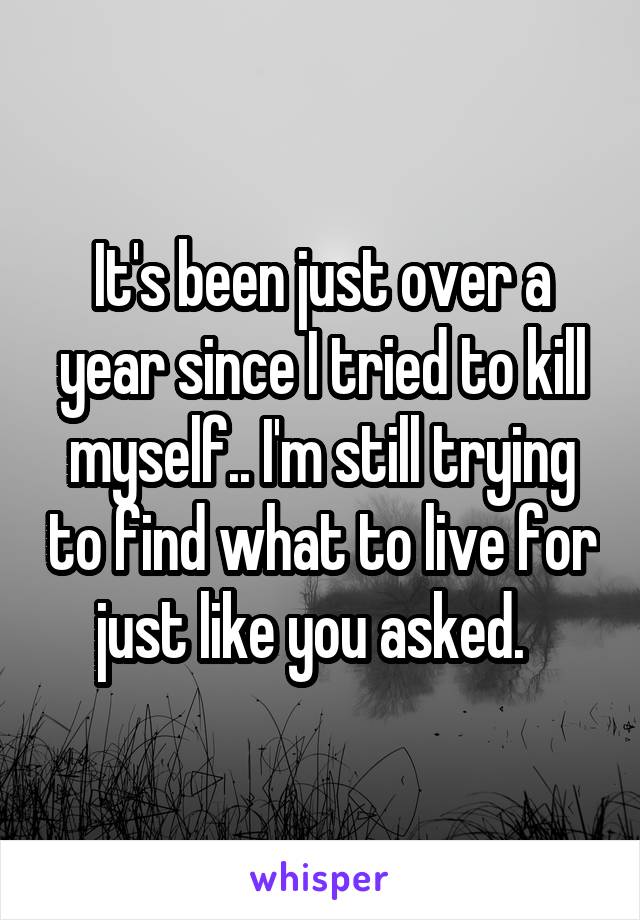 It's been just over a year since I tried to kill myself.. I'm still trying to find what to live for just like you asked.  