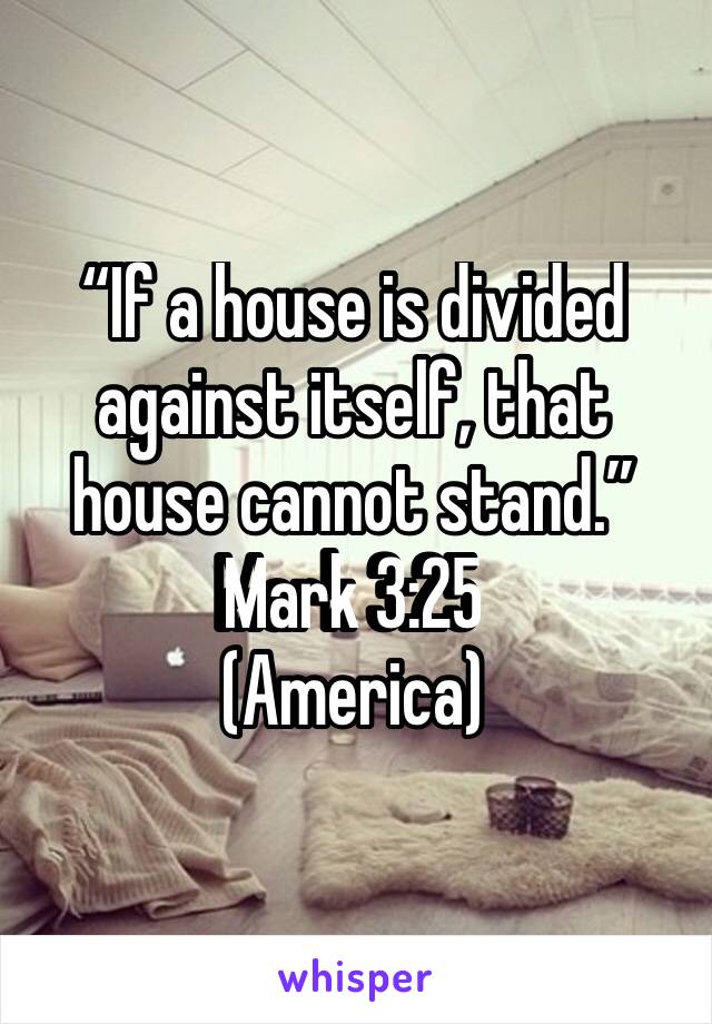 “If a house is divided against itself, that house cannot stand.”
‭‭Mark‬ ‭3:25‬ ‭
(America)