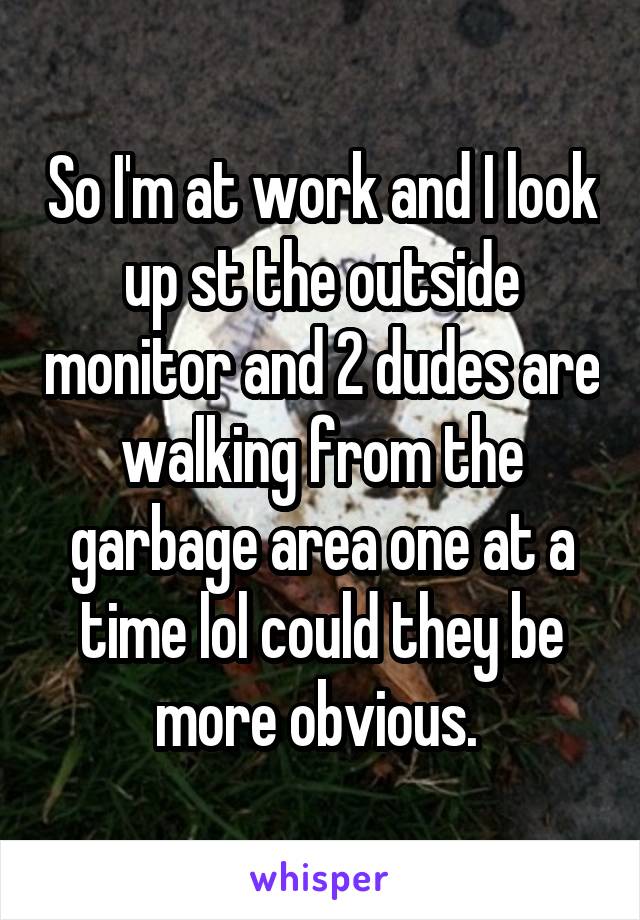 So I'm at work and I look up st the outside monitor and 2 dudes are walking from the garbage area one at a time lol could they be more obvious. 