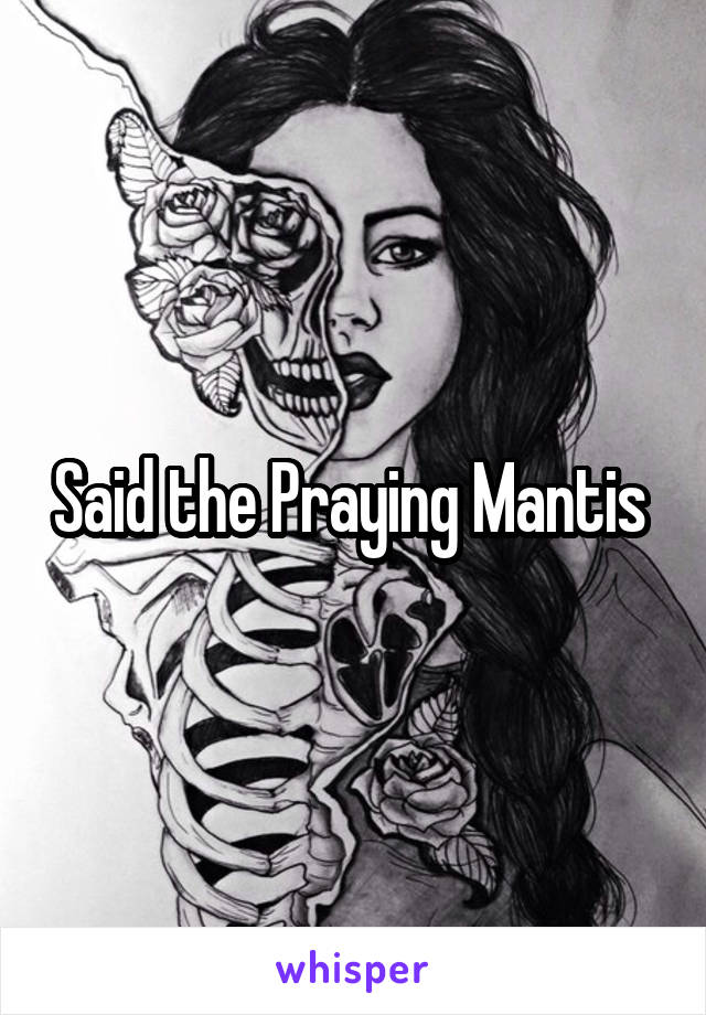 Said the Praying Mantis 