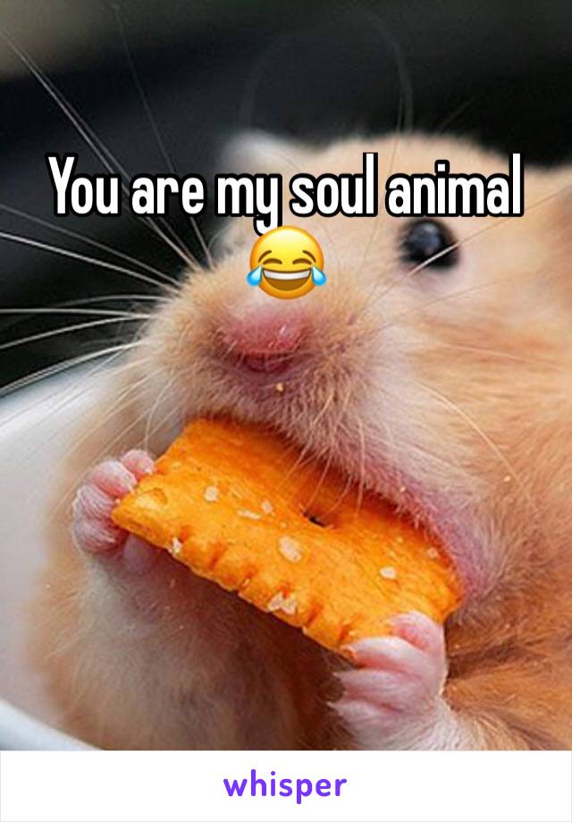 You are my soul animal 😂