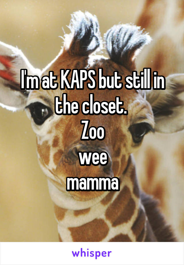 I'm at KAPS but still in the closet. 
Zoo
wee
mamma