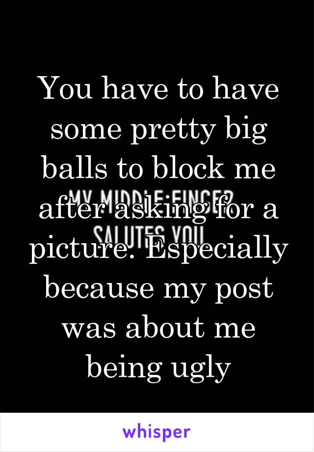 You have to have some pretty big balls to block me after asking for a picture. Especially because my post was about me being ugly