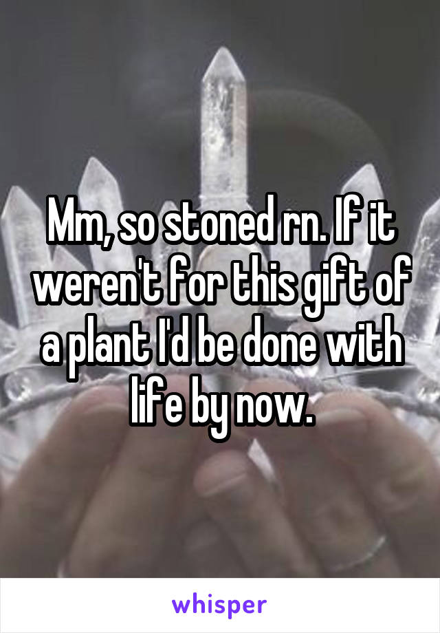 Mm, so stoned rn. If it weren't for this gift of a plant I'd be done with life by now.