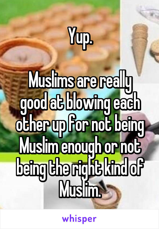 Yup.

Muslims are really good at blowing each other up for not being Muslim enough or not being the right kind of Muslim.