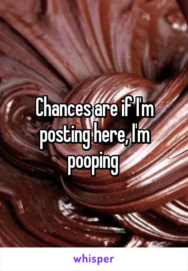 Chances are if I'm posting here, I'm pooping 