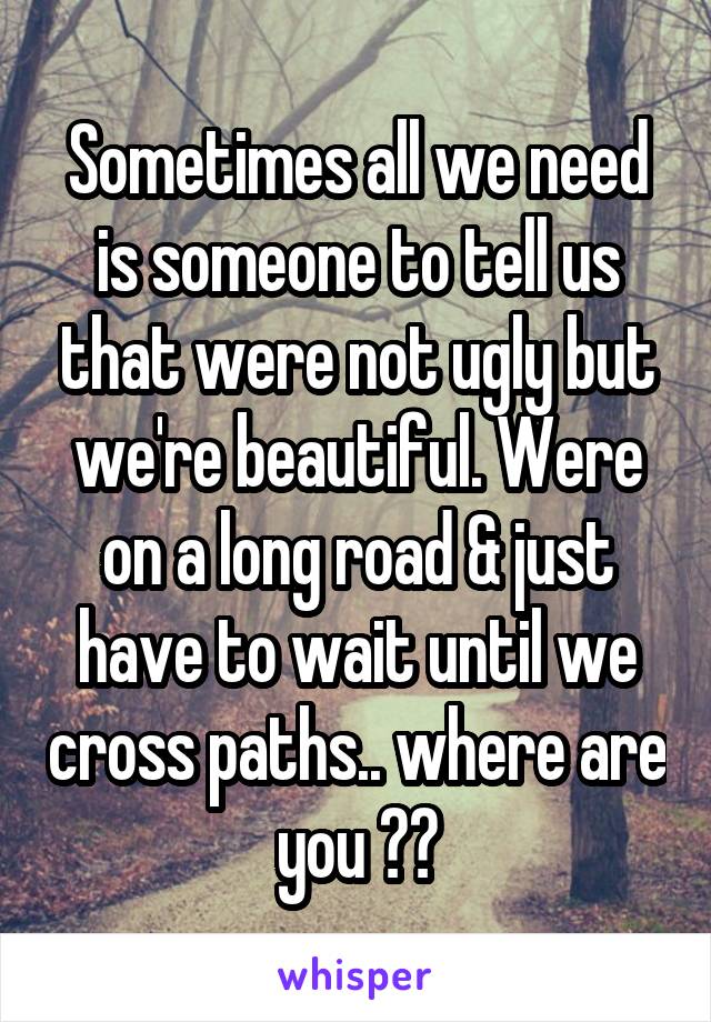 Sometimes all we need is someone to tell us that were not ugly but we're beautiful. Were on a long road & just have to wait until we cross paths.. where are you ??