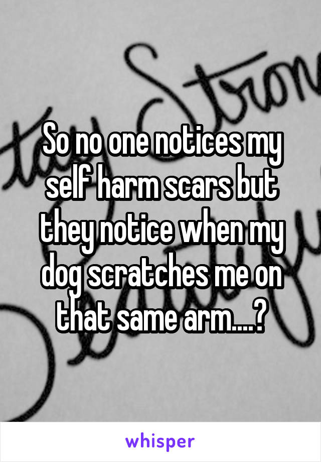 So no one notices my self harm scars but they notice when my dog scratches me on that same arm....?