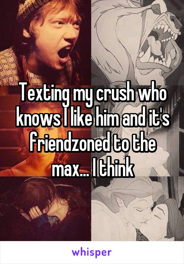 Texting my crush who knows I like him and it's friendzoned to the max... I think