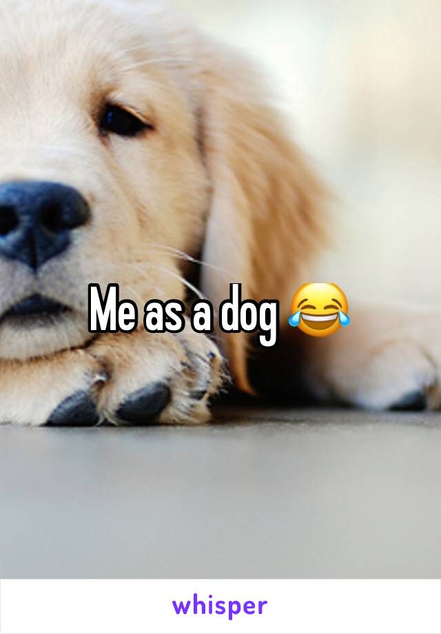 Me as a dog 😂
