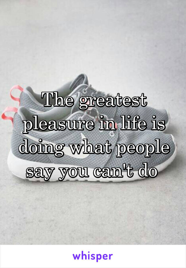 The greatest pleasure in life is doing what people say you can't do 