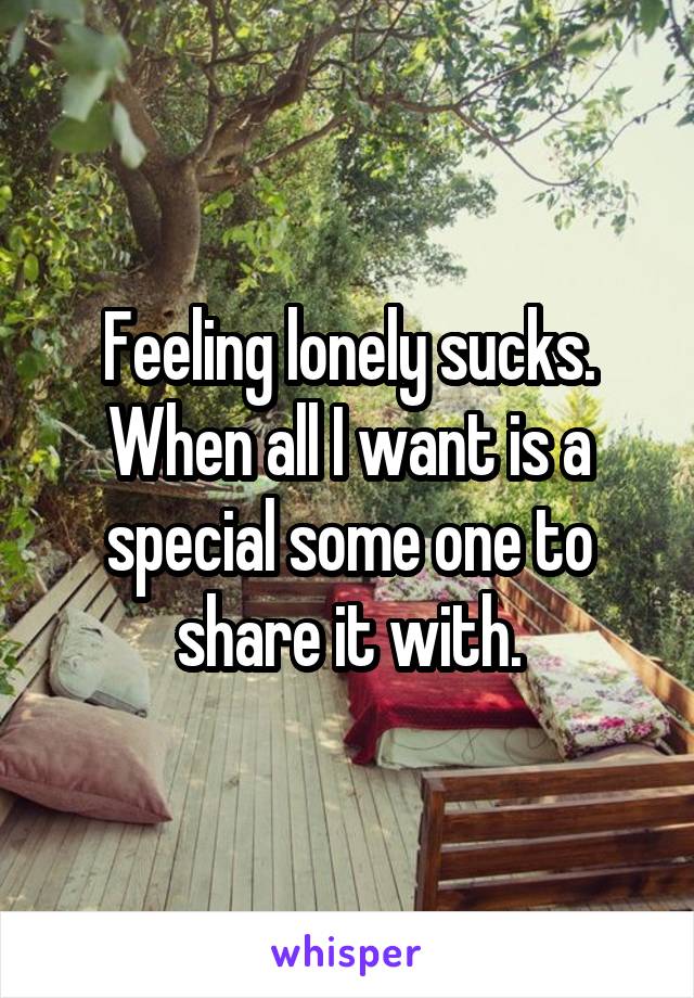 Feeling lonely sucks. When all I want is a special some one to share it with.