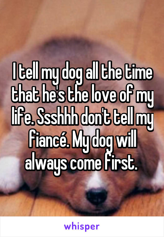 I tell my dog all the time that he's the love of my life. Ssshhh don't tell my fiancé. My dog will always come first. 