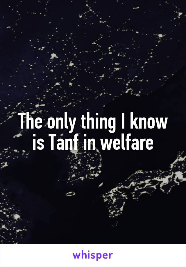 The only thing I know is Tanf in welfare