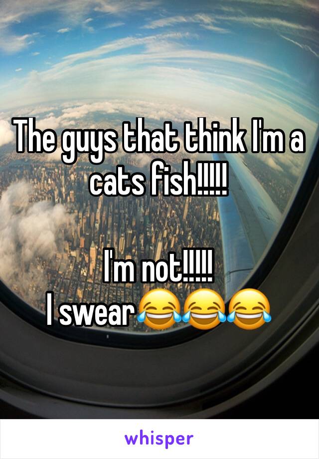 The guys that think I'm a cats fish!!!!! 

I'm not!!!!! 
I swear😂😂😂