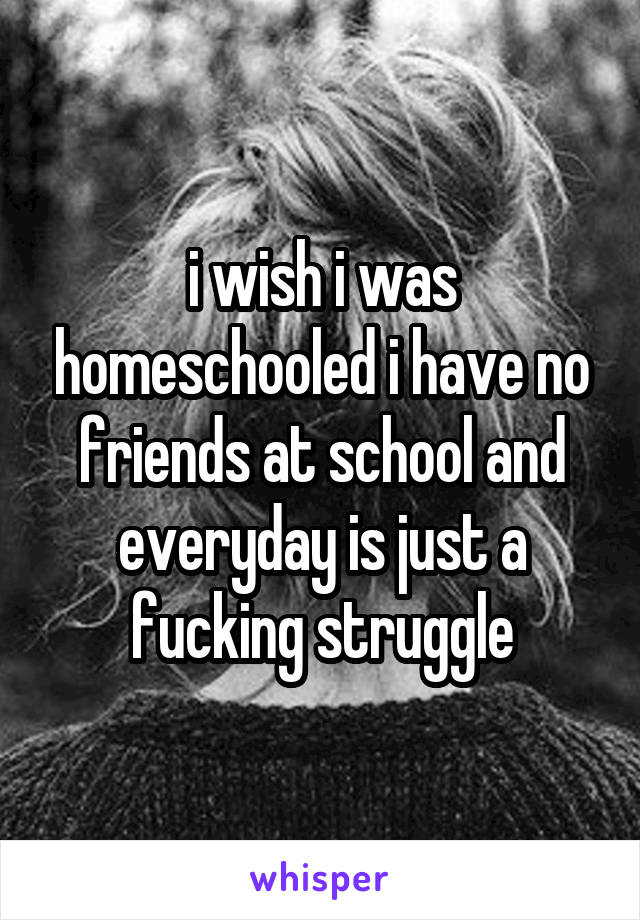 i wish i was homeschooled i have no friends at school and everyday is just a fucking struggle