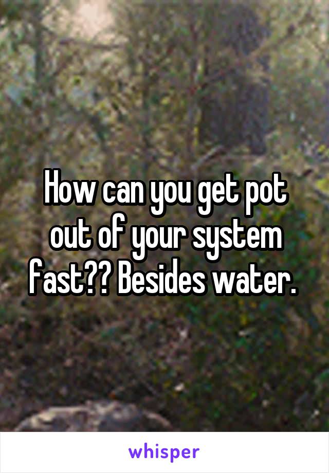 How can you get pot out of your system fast?? Besides water. 