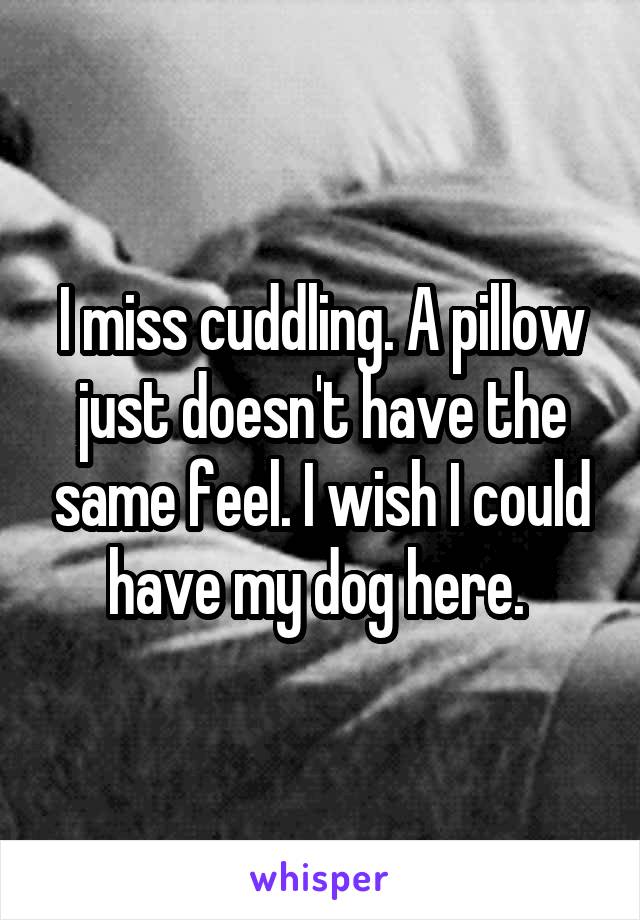 I miss cuddling. A pillow just doesn't have the same feel. I wish I could have my dog here. 