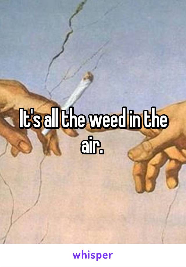 It's all the weed in the air. 