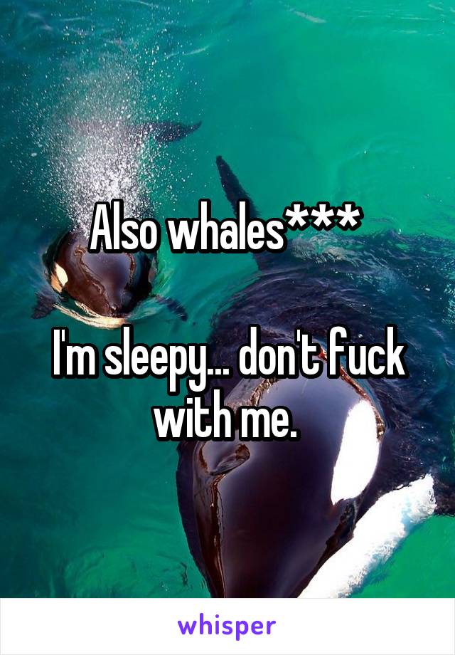 Also whales*** 

I'm sleepy... don't fuck with me. 