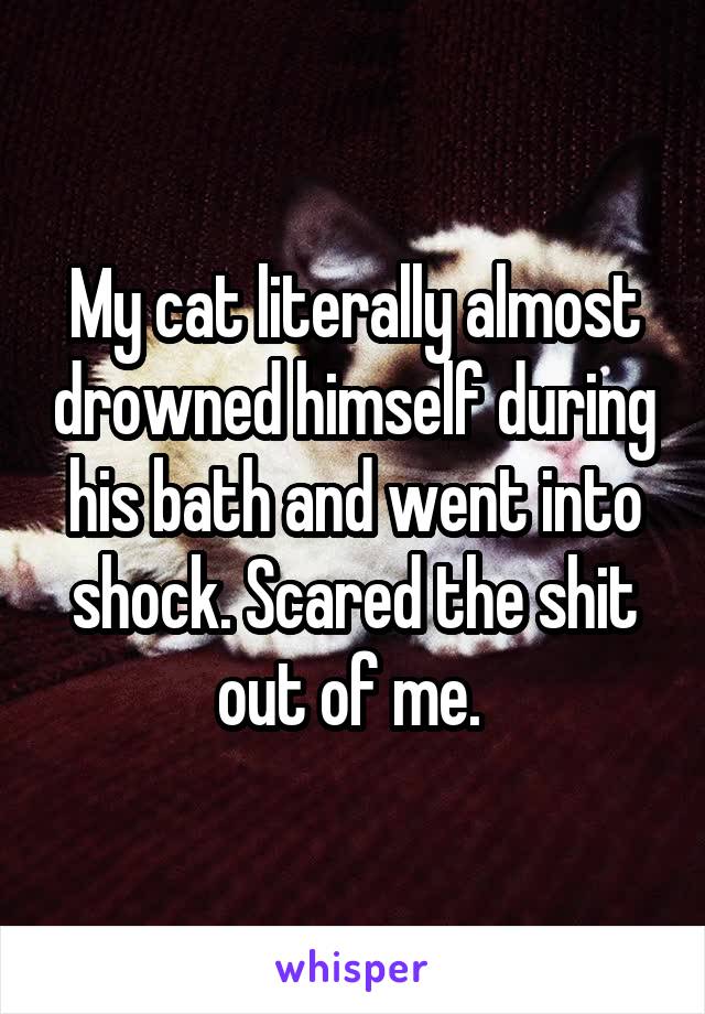 My cat literally almost drowned himself during his bath and went into shock. Scared the shit out of me. 