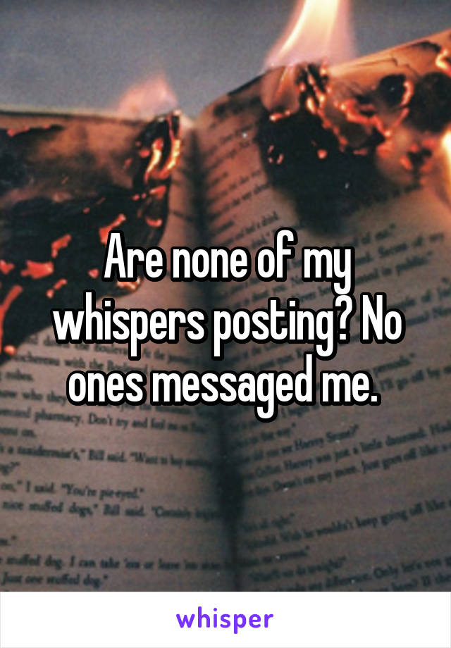 Are none of my whispers posting? No ones messaged me. 