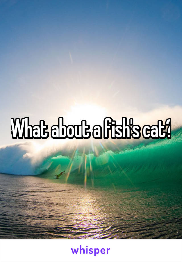 What about a fish's cat?