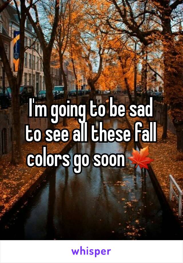 I'm going to be sad
to see all these fall
colors go soon🍁