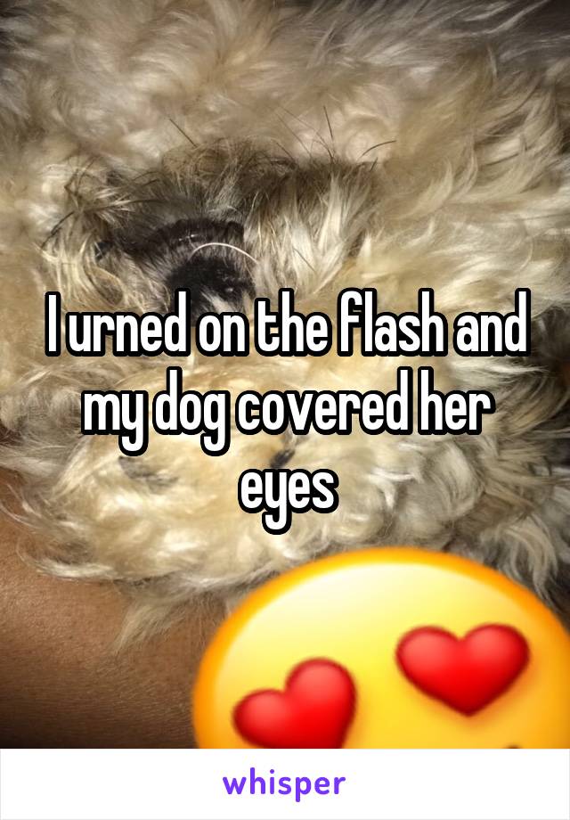 I urned on the flash and my dog covered her eyes