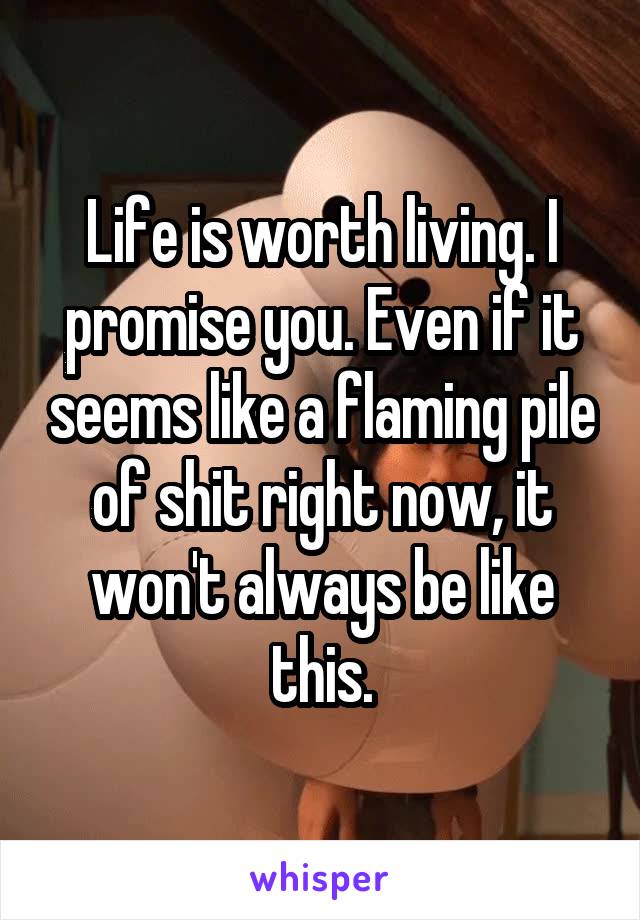 Life is worth living. I promise you. Even if it seems like a flaming pile of shit right now, it won't always be like this.