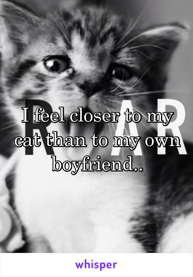 I feel closer to my cat than to my own boyfriend..