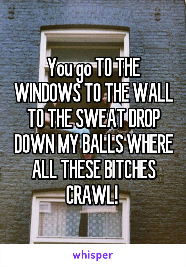 You go TO THE WINDOWS TO THE WALL TO THE SWEAT DROP DOWN MY BALLS WHERE ALL THESE BITCHES CRAWL! 
