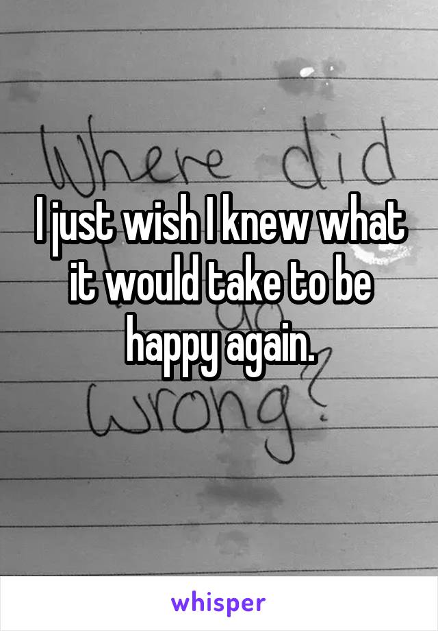 I just wish I knew what it would take to be happy again.
