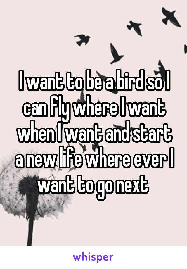 I want to be a bird so I can fly where I want when I want and start a new life where ever I want to go next 