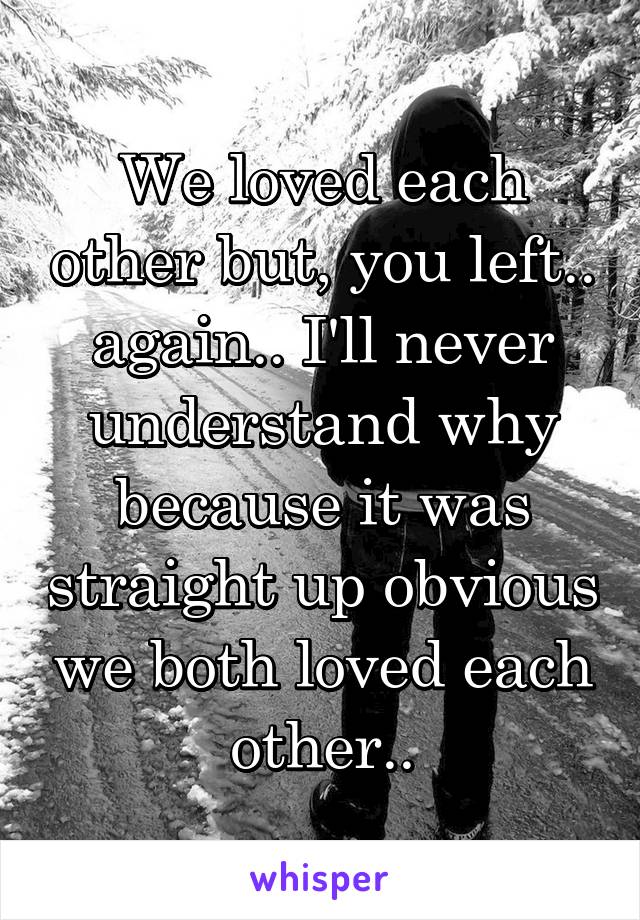 We loved each other but, you left.. again.. I'll never understand why because it was straight up obvious we both loved each other..